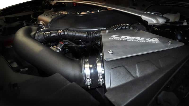 CORSA Performance, Corsa 11-14 Ford Mustang GT 5.0L V8 Air Intake